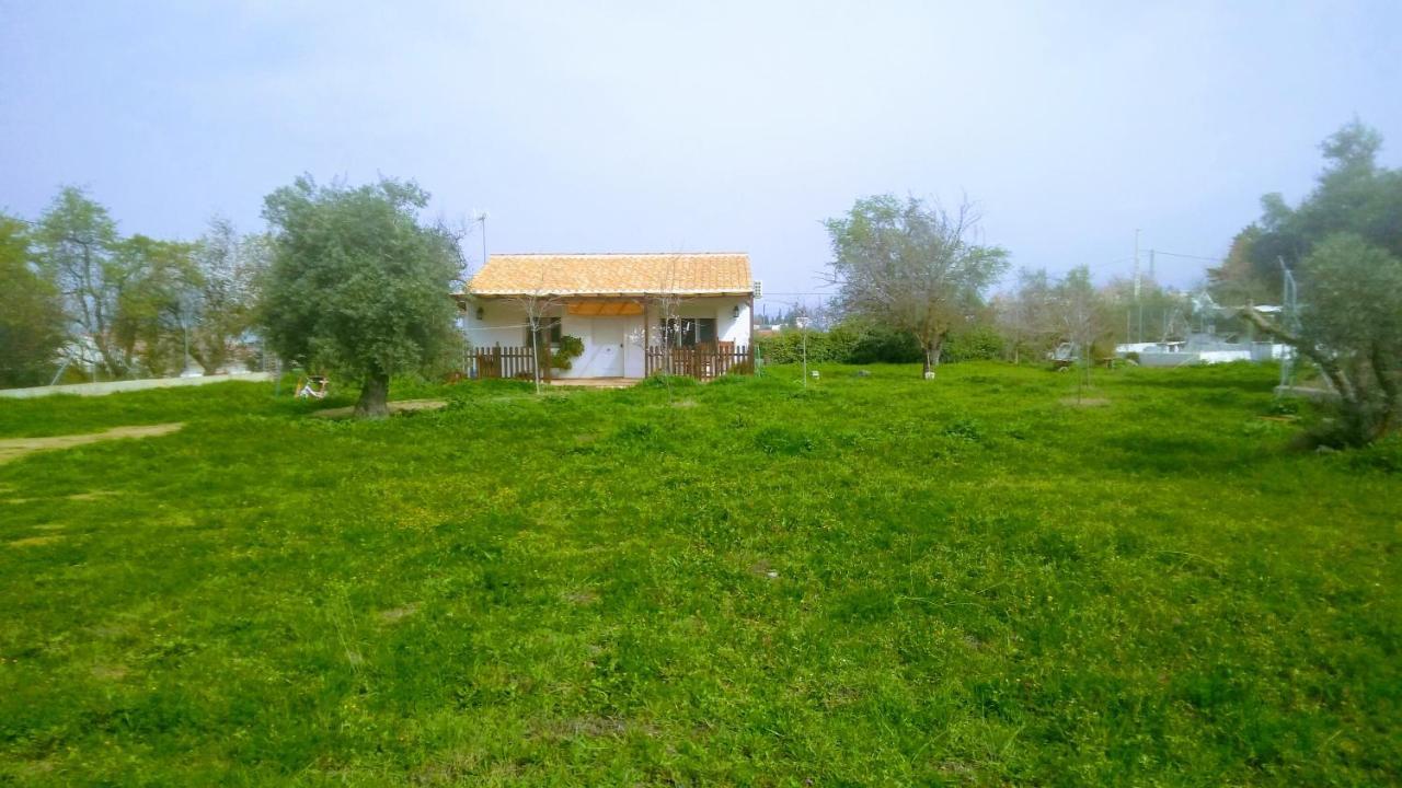 Casa De Campo Los Manueles Ideal Perros Pet Friendly Gojar 外观 照片