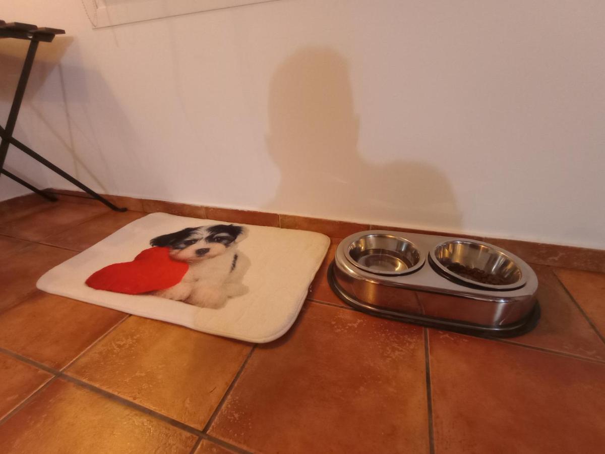 Casa De Campo Los Manueles Ideal Perros Pet Friendly Gojar 外观 照片