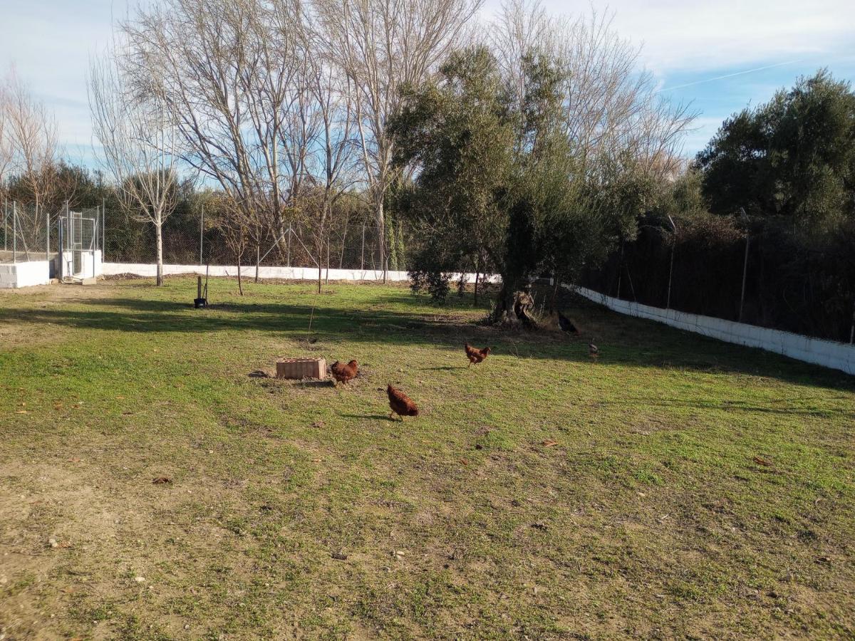 Casa De Campo Los Manueles Ideal Perros Pet Friendly Gojar 外观 照片