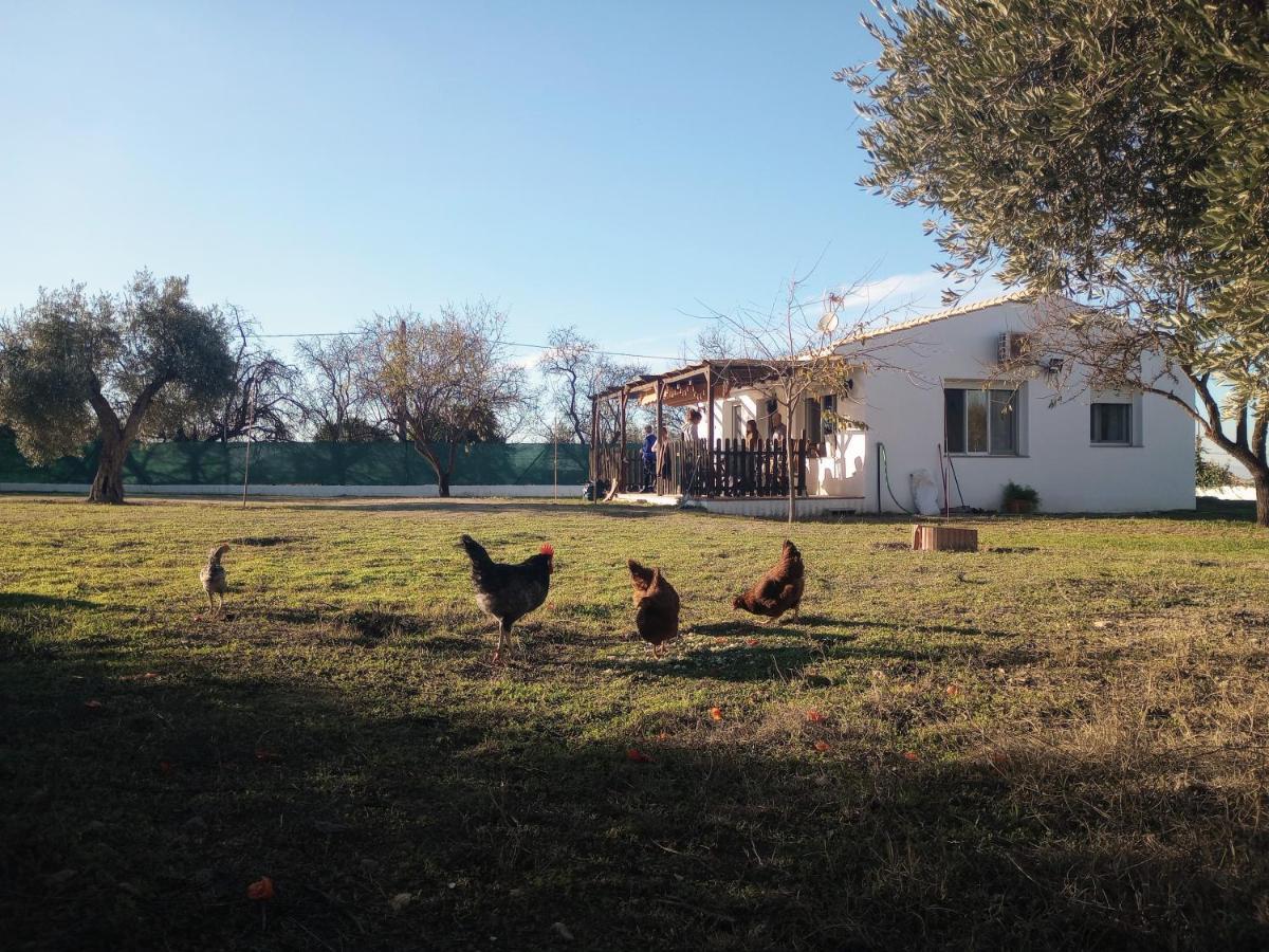 Casa De Campo Los Manueles Ideal Perros Pet Friendly Gojar 外观 照片
