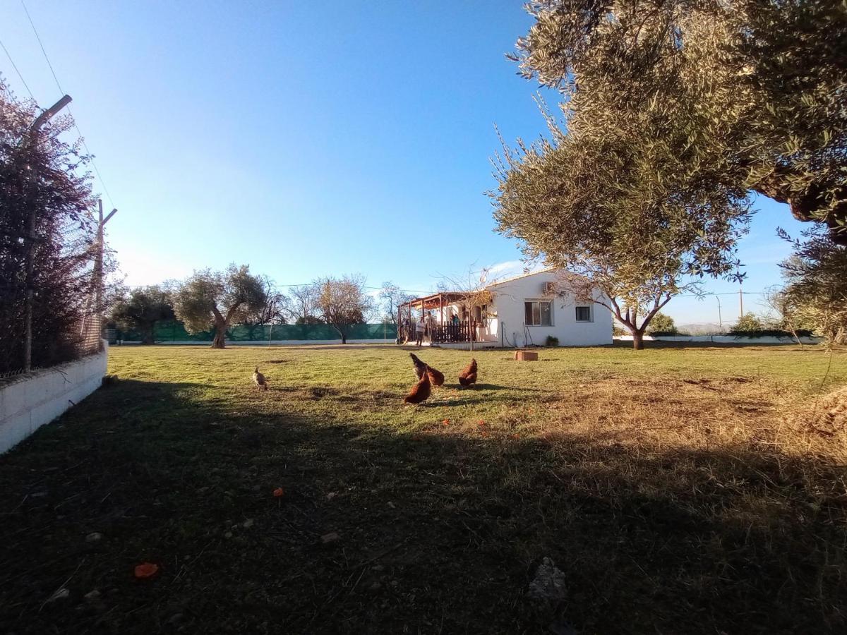 Casa De Campo Los Manueles Ideal Perros Pet Friendly Gojar 外观 照片
