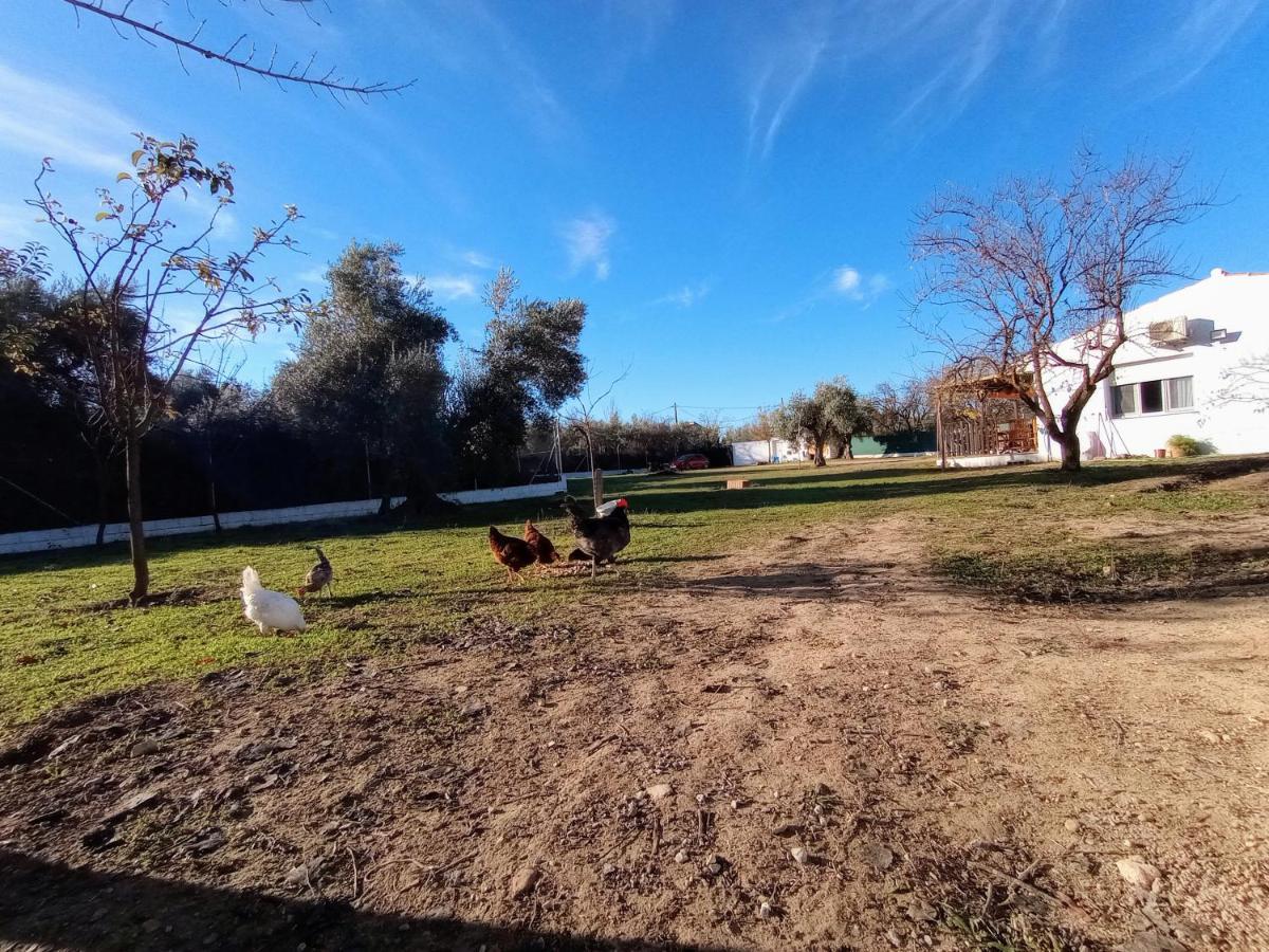 Casa De Campo Los Manueles Ideal Perros Pet Friendly Gojar 外观 照片