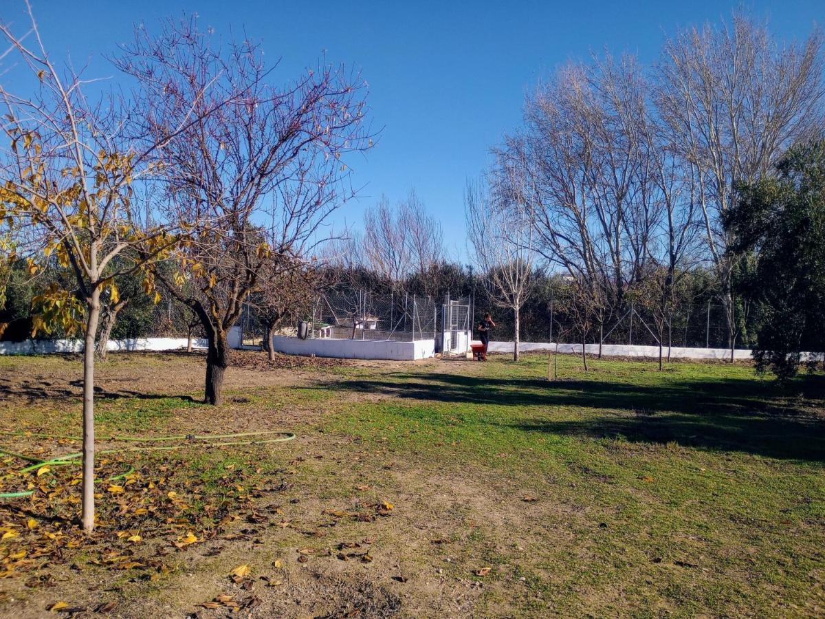 Casa De Campo Los Manueles Ideal Perros Pet Friendly Gojar 外观 照片
