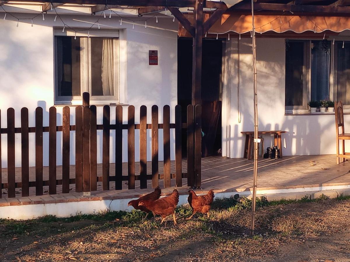 Casa De Campo Los Manueles Ideal Perros Pet Friendly Gojar 外观 照片
