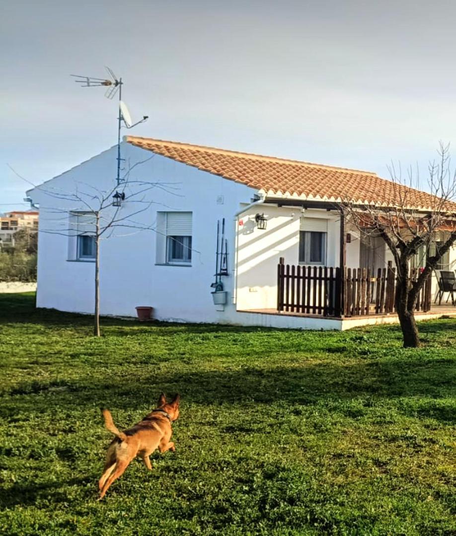 Casa De Campo Los Manueles Ideal Perros Pet Friendly Gojar 外观 照片