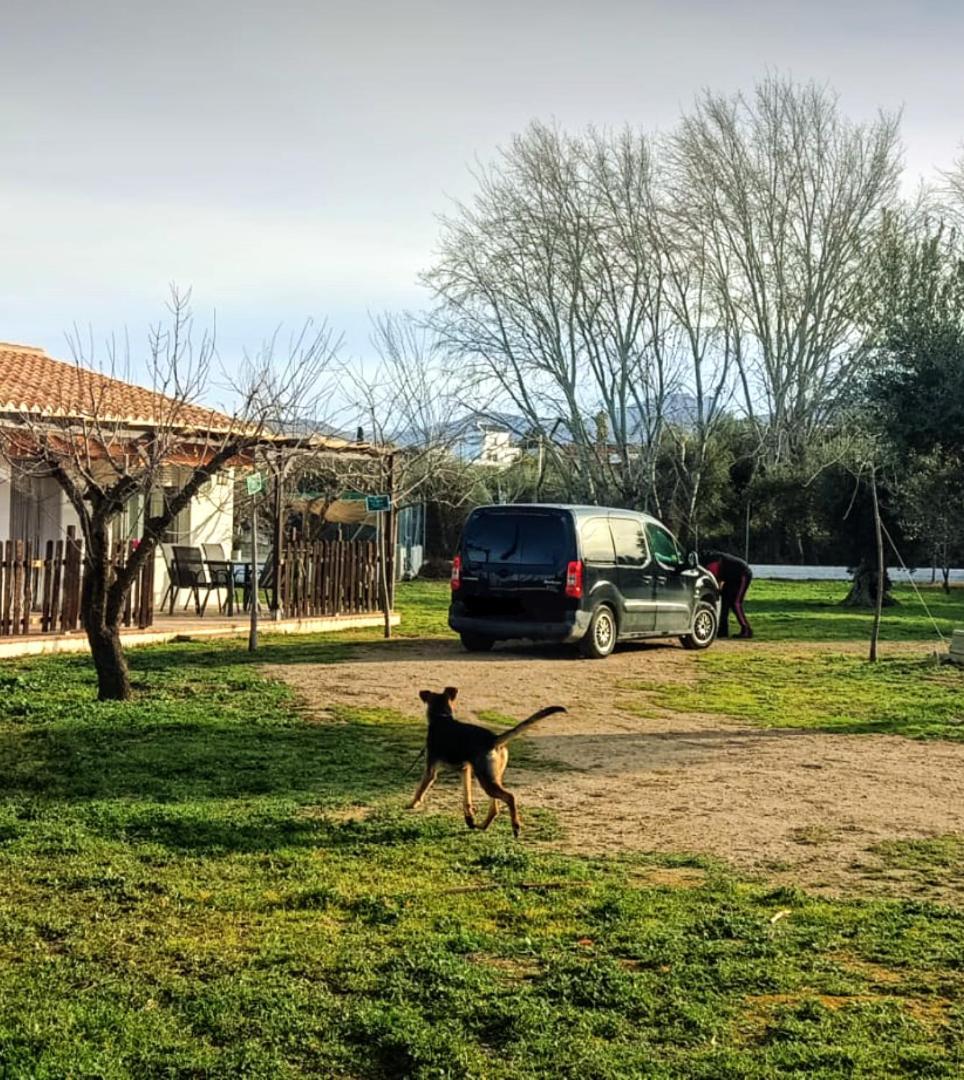 Casa De Campo Los Manueles Ideal Perros Pet Friendly Gojar 外观 照片