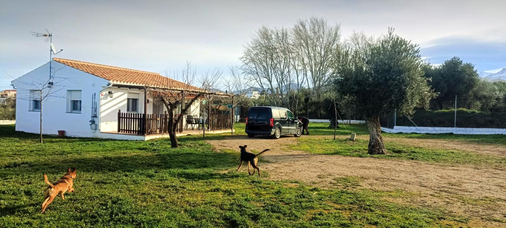Casa De Campo Los Manueles Ideal Perros Pet Friendly Gojar 外观 照片